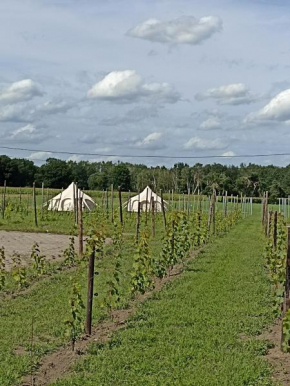 Natuur-like Glamping in Bosland